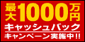 ＦＸ ＺＥＲＯ
